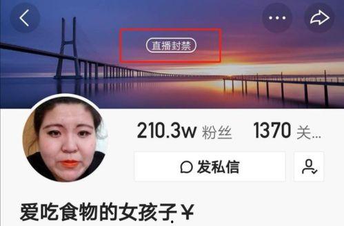 网红爆料陈警官悬赏视频,网红爆料背后真相揭秘 第1张 网红爆料陈警官悬赏视频,网红爆料背后真相揭秘 第1张