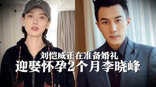港媒爆料李晓峰视频大全  第2张