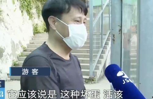 网友拍到网红吃瓜怎么办,网友热议不断 第3张 网友拍到网红吃瓜怎么办,网友热议不断 第3张