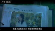 精彩热门爆料视频,独家内幕大公开! 第2张 精彩热门爆料视频,独家内幕大公开! 第2张