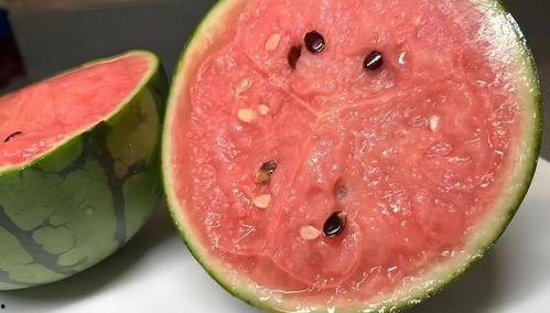 江西网红吃瓜视频,揭秘网络红人的幕后故事  第3张