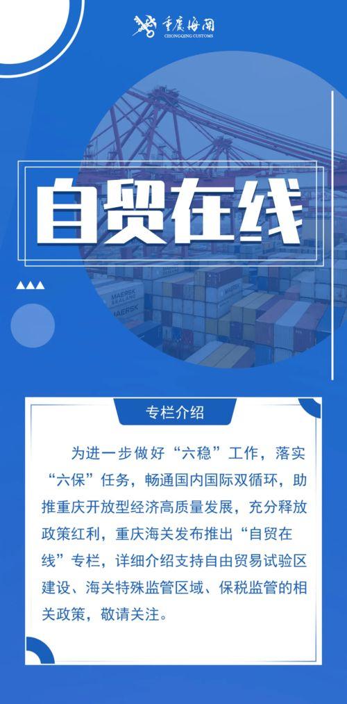 进出口在线观看,实时洞察全球贸易动态 第2张 进出口在线观看,实时洞察全球贸易动态 第2张