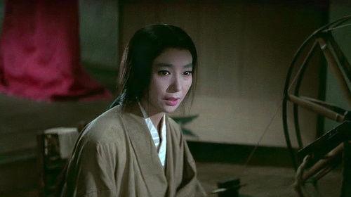 武士夫人在线观看,穿越时空的武士传奇