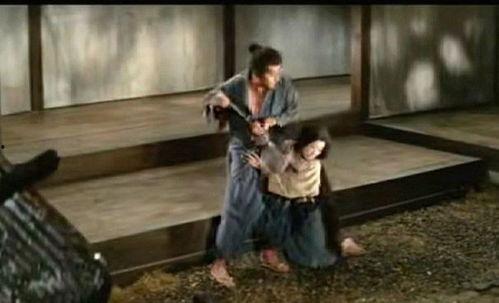 武士夫人在线观看,穿越时空的武士传奇 第3张 武士夫人在线观看,穿越时空的武士传奇 第3张