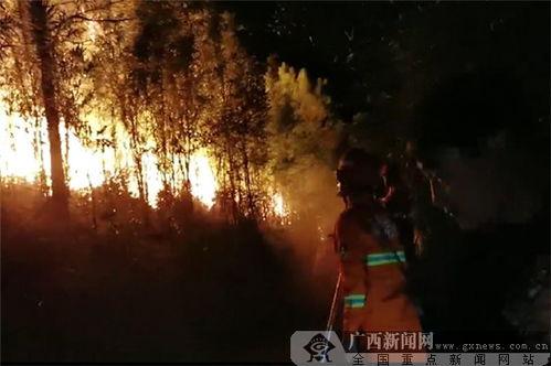 桂平山火最新爆料,火势蔓延，救援行动紧张进行中  第1张
