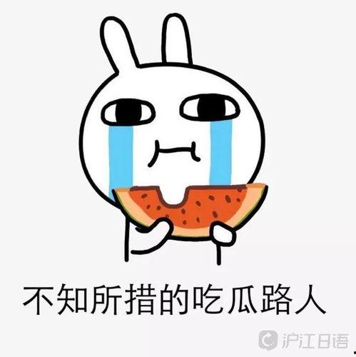娱乐圈吃瓜路人,揭秘吃瓜路人的幕后故事  第3张