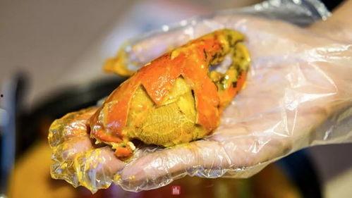 抖音网红吃瓜天津,一场别开生面的吃瓜之旅