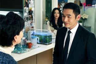 离婚律师在线观看,揭秘婚姻破裂背后的法律智慧 第3张 离婚律师在线观看,揭秘婚姻破裂背后的法律智慧 第3张