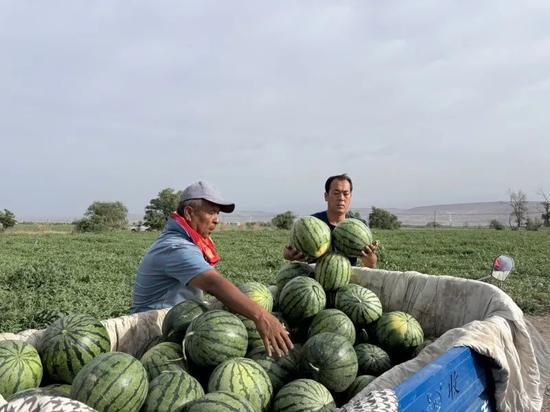 600多万网红吃瓜,揭秘娱乐圈最新瓜料大揭秘！