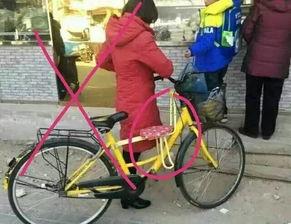 共享自行车爆料视频下载,共享经济新趋势下的隐私与安全挑战