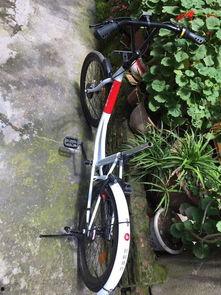 共享自行车爆料视频下载,共享经济新趋势下的隐私与安全挑战  第2张