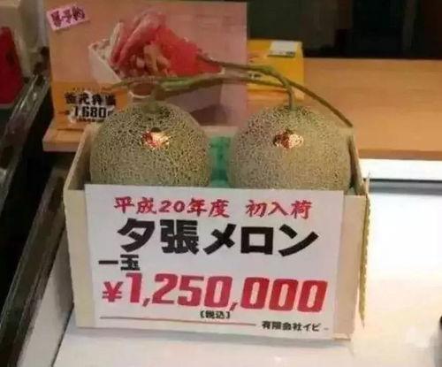 娱乐吃瓜骗局揭秘,揭秘网络虚假新闻背后的真相  第2张