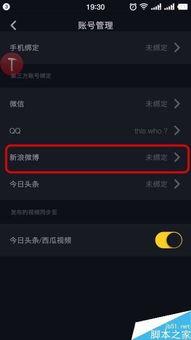 爆料如何投稿抖音视频教程,如何根据爆料高效制作视频内容 第2张 爆料如何投稿抖音视频教程,如何根据爆料高效制作视频内容 第2张