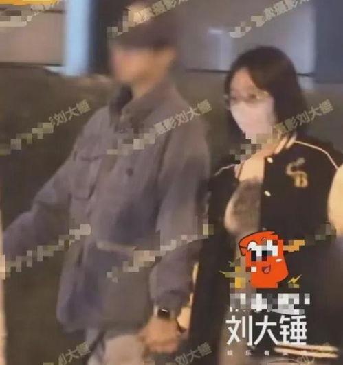 刘大锤最新爆料回归视频,回归视频背后的精彩故事  第1张 刘大锤最新爆料回归视频,回归视频背后的精彩故事  第1张