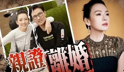 刘大锤最新爆料回归视频,回归视频背后的精彩故事  第2张 刘大锤最新爆料回归视频,回归视频背后的精彩故事  第2张