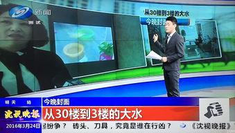 新闻爆料辽宁,揭秘辽宁最新动态与热点事件 第3张 新闻爆料辽宁,揭秘辽宁最新动态与热点事件 第3张