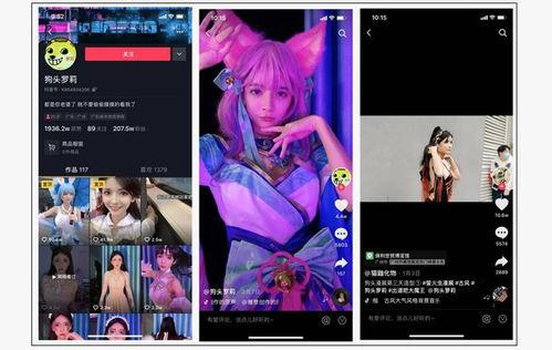 网红圈爆料视频下载,独家爆料视频幕后下载全解析