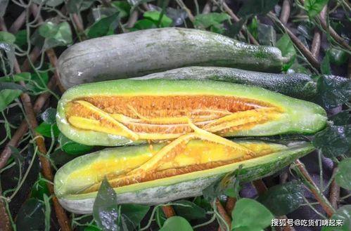 网红吃瓜资源,揭秘娱乐圈幕后真相 第3张 网红吃瓜资源,揭秘娱乐圈幕后真相 第3张