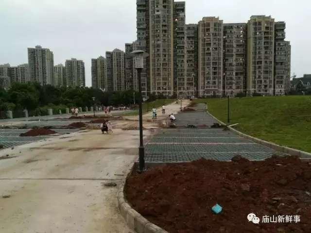 武汉汤逊湖最新爆料,揭秘生态变迁与周边发展新动向