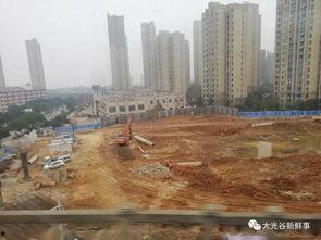 武汉汤逊湖最新爆料,揭秘生态变迁与周边发展新动向 第3张 武汉汤逊湖最新爆料,揭秘生态变迁与周边发展新动向 第3张