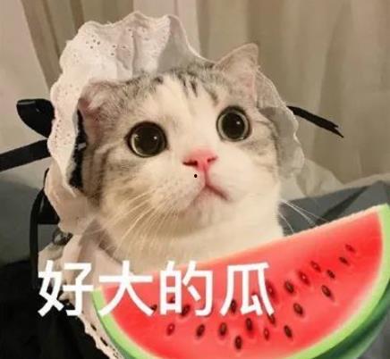 吃瓜网红照骗性瘾,揭秘网红“照骗”背后的性瘾之谜