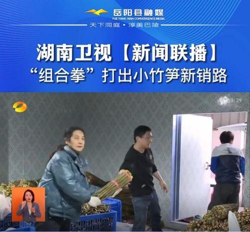 岳阳爆料新闻事件,揭秘新闻事件背后的真相与争议 第2张 岳阳爆料新闻事件,揭秘新闻事件背后的真相与争议 第2张