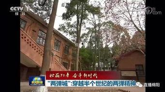 绵阳最新凯厦砍树爆料新闻,真相与争议交织的环保风波