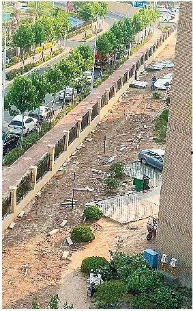 绵阳最新凯厦砍树爆料新闻,真相与争议交织的环保风波  第2张 绵阳最新凯厦砍树爆料新闻,真相与争议交织的环保风波  第2张