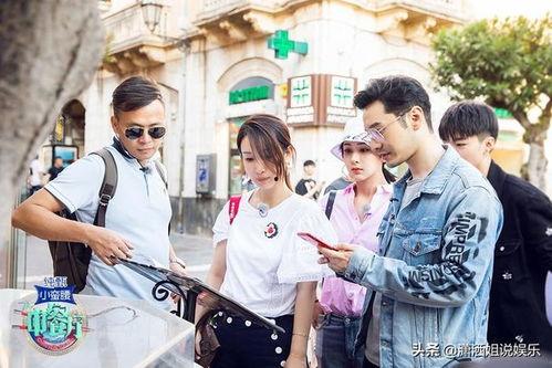 中餐厅第三季在线观看,美味之旅，温馨重现  第1张