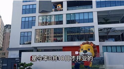 辛巴豪宅爆料视频大全,视频大全带你领略奢华生活  第2张