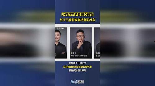 小鹏离职员工爆料视频大全,揭秘企业内部真相  第2张