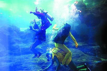 cf海底世界最新爆料,神秘海洋生物齐聚，探险之旅即将开启！  第2张