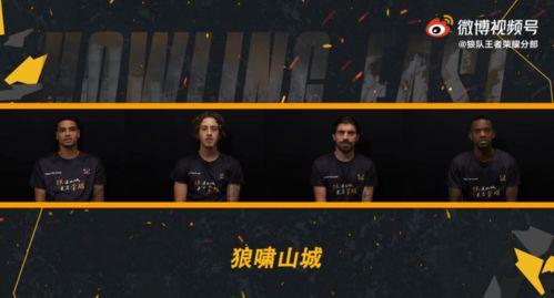 爆料重庆狼队事件视频,揭秘视频背后的惊人真相  第2张