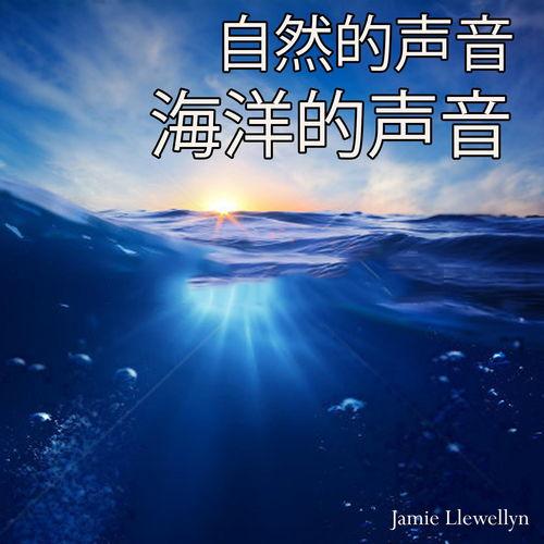 鸟鸣 在线观看,自然之美在线呈现  第3张