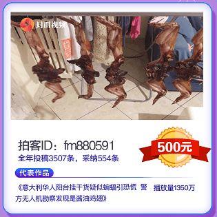 拍客新闻爆料怎么做的,如何捕捉社会热点，传递真实声音  第3张