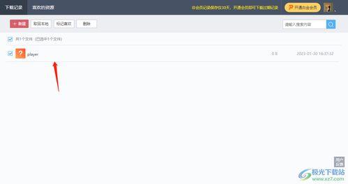 韦丹丹爆料记录视频,揭秘事件背后真相