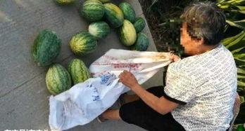 新泰吃瓜最新事件爆料图片,揭秘幕后真相,图片曝光引热议 第2张 新泰吃瓜最新事件爆料图片,揭秘幕后真相,图片曝光引热议 第2张