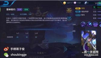 王哥王者爆料视频大全最新,揭秘最新游戏内幕与精彩瞬间