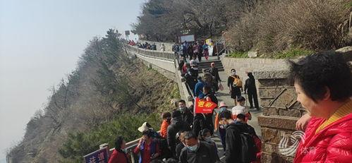 山东泰山队爆料新闻,揭秘球队备战新赛季幕后故事  第2张