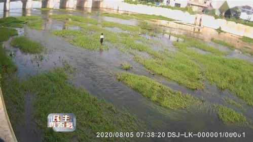 滕州小清河跳河最新爆料,最新爆料揭示惊人真相！”