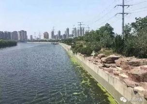 滕州小清河跳河最新爆料,最新爆料揭示惊人真相！”  第2张