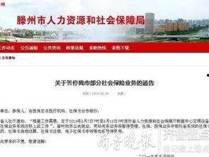 新闻爆料社最新视频,最新视频内容深度解析