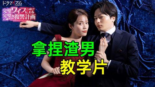 完美妻子韩剧在线观看,揭秘现代婚姻的甜蜜与挑战，在线观看开启情感之旅