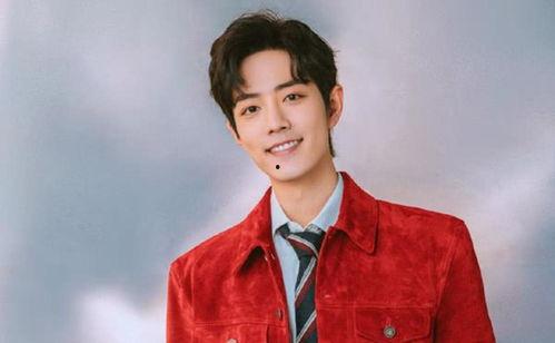 肖战何炅最新爆料,揭秘娱乐圈幕后故事  第2张