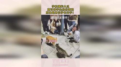 高中学校大瓜爆料视频,大瓜爆料视频背后的真相  第2张