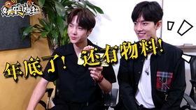 娱乐影视社爆料,揭秘明星幕后故事