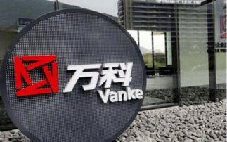 万科天然气爆料最新消息,揭秘项目进展与市场动态