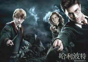 哈利波特舅舅爆料视频,独家视频揭露神秘家族往事 第3张 哈利波特舅舅爆料视频,独家视频揭露神秘家族往事 第3张