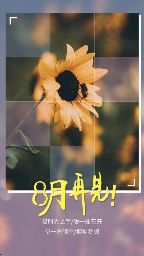 早安 再见在线观看,一场跨越时空的告别之旅