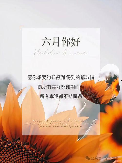 早安 再见在线观看,一场跨越时空的告别之旅  第3张